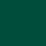 туника женская С4069BG