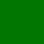 жилет женский С4346BG R