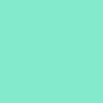 топ женский С4238BG