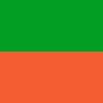 платье женское С2904BG